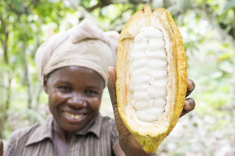 Cioccolato Fondente 70% Cacao Bio - Semuliki Uganda - 70g