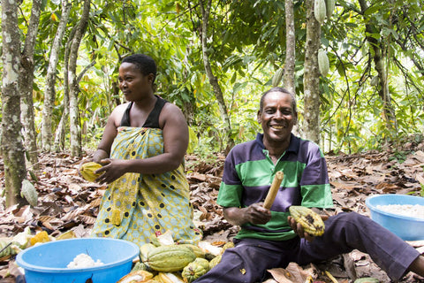 Cioccolato Fondente 100% Cacao Bio - Semuliki Uganda - 70g