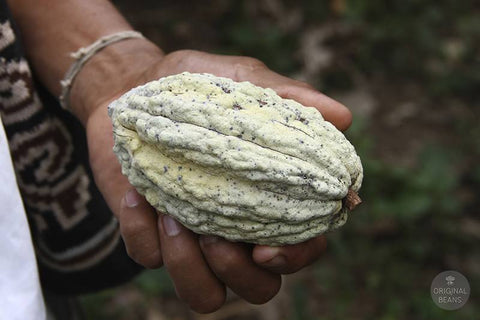 Cioccolato Fondente Bio 82% - Arhuaco Colombia - 70g
