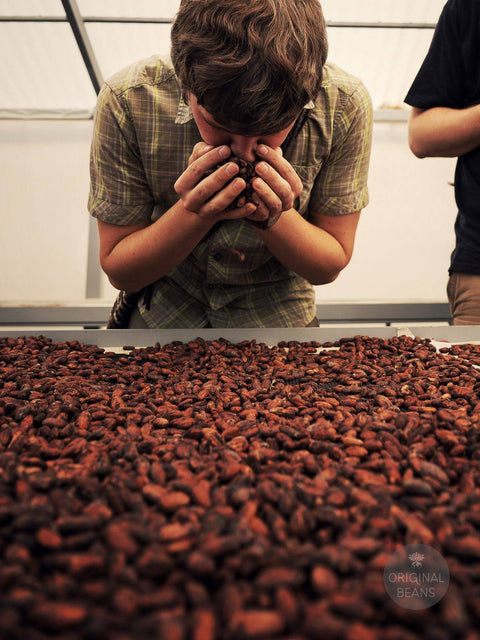 Cioccolato Fondente Bio 100% - Cusco Peru - 70g