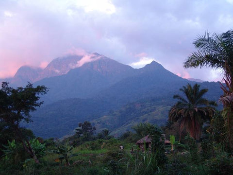 Cioccolato Fondente Bio 70% - Virunga Congo - 70g
