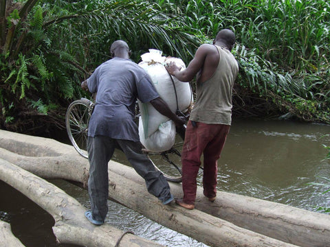 Cioccolato Fondente Bio 70% - Virunga Congo - 70g