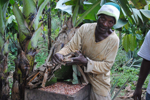 Cioccolato Fondente Bio 70% - Virunga Congo - 70g