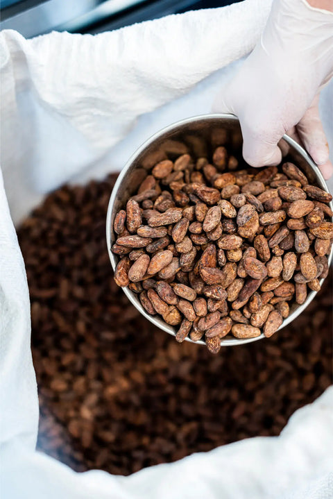 ENCICLOPEDIA DEL CACAO